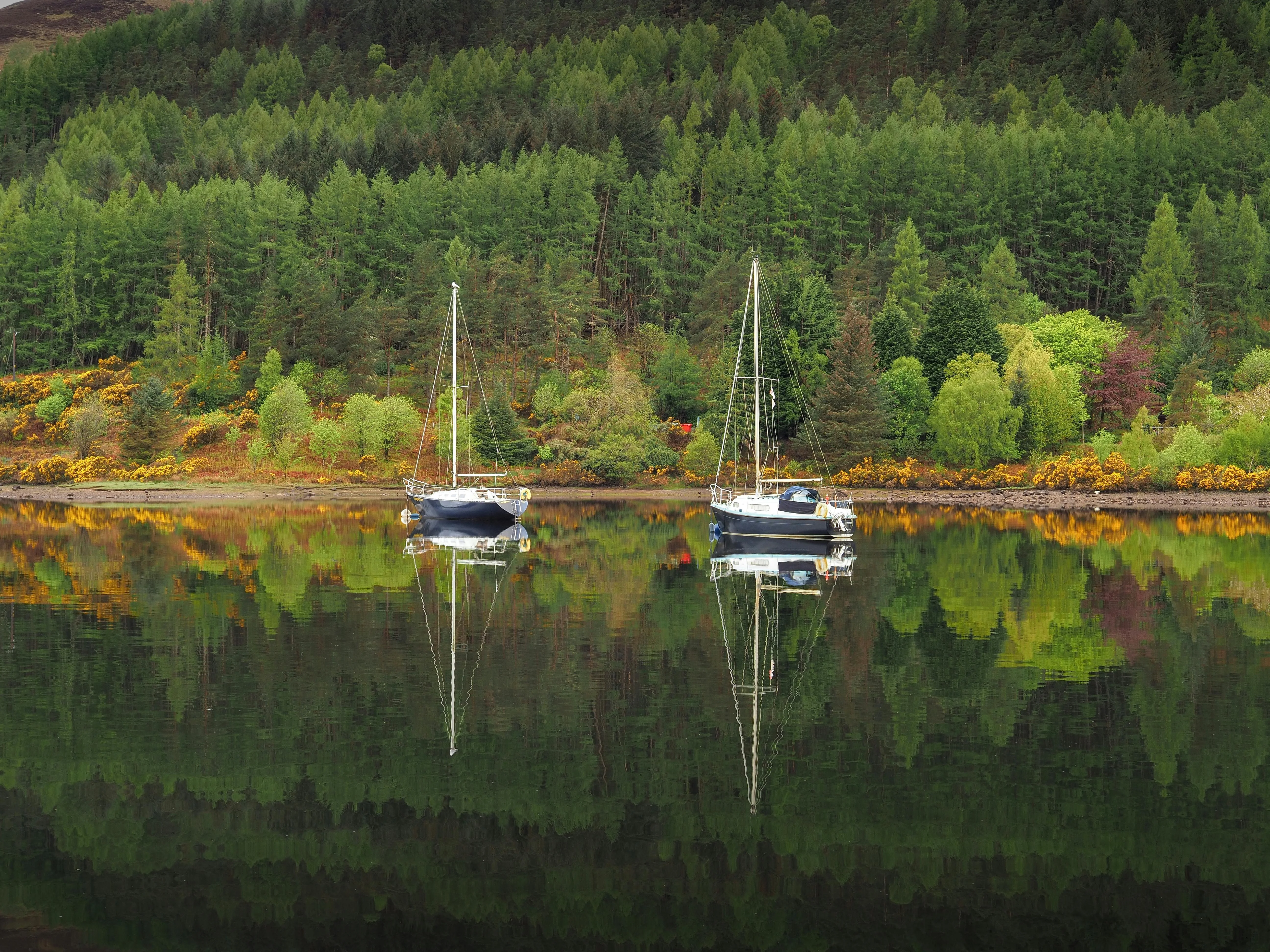 Loch Ness Inverness Highland private tour 尼斯湖因弗內斯高地私人旅遊